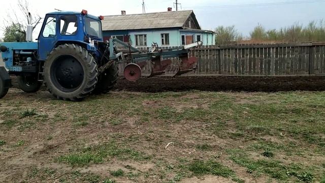 СЕЛЬСКАЯ ЖИЗНЬ/Пашем огород/Посадка картофеля. #деревня #огород #дача смотреть онлайн