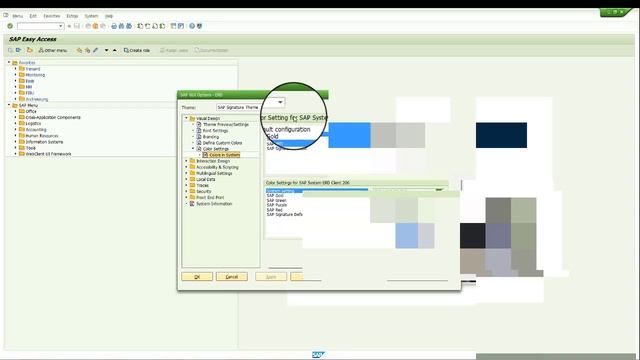 SAP ERP basic - change system colour смотреть онлайн