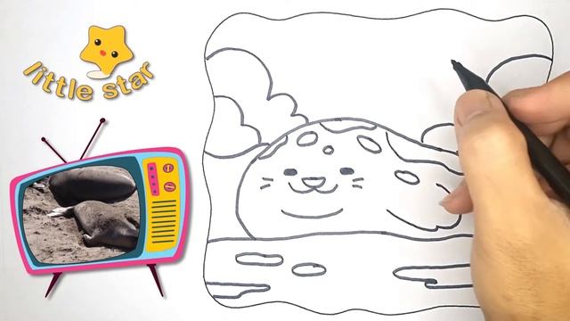 Drawing walrus ? Draw so cute walrus ? Walrus drawing for children ? Walrus drawing смотреть онлайн
