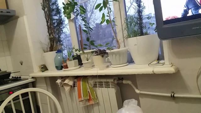 Строительные Журналы