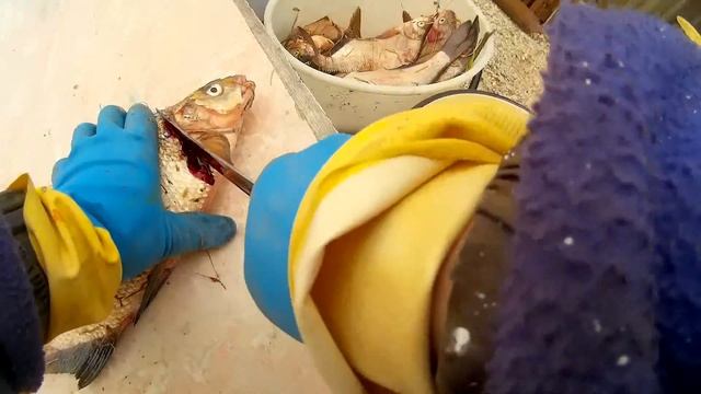 Ловим и перерабатываем леща. смотреть онлайн