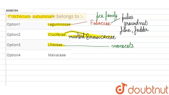 Colchicum autumnale belongs to :- смотреть онлайн