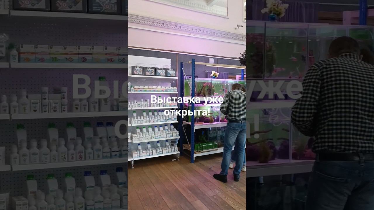 Всероссийская выставка аквариумных рыбок 2024 смотреть онлайн