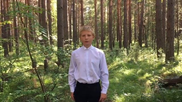 Грищенко Илья, 12 лет, Н. М. Рубцов "В осеннем лесу" смотреть онлайн