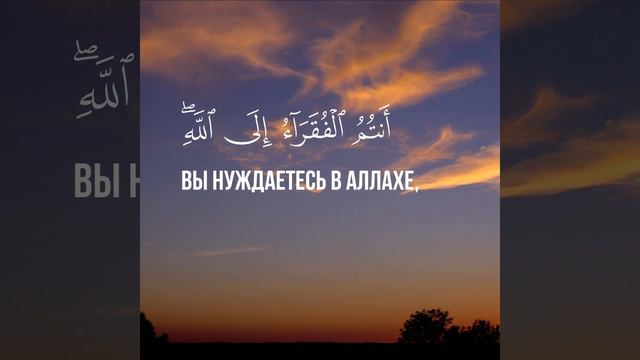 Полное видео Мухаммад аль-Люхайдан, Сура 35. Фатыр , аяты 13-17 смотреть онлайн