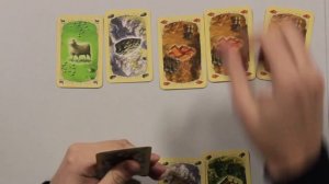 Колонизаторы: Быстрая карточная игра