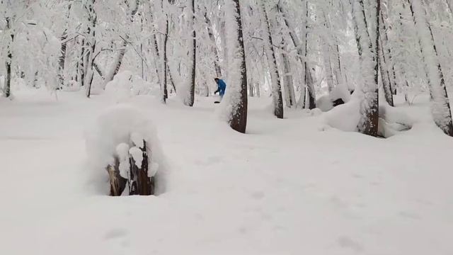 Аджигардак - Завьялиха 2022