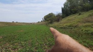 гербицид по люцерне и клеверу.mp4