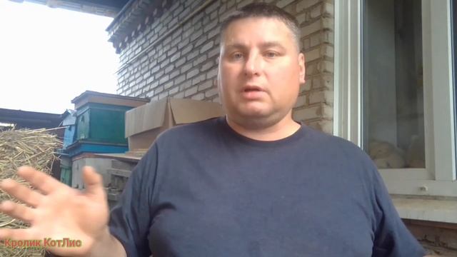 ОТСАДКА крольчат.ЛУЧШИЙ и ПРОСТОЙ метод отсадки крольчат. смотреть онлайн