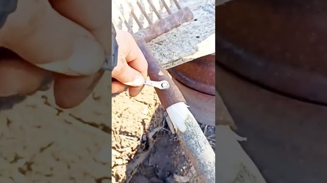 Щука на острогу! Рыбалка с острогой#рыбалочка#рыбалка #жизньвдеревне смотреть онлайн