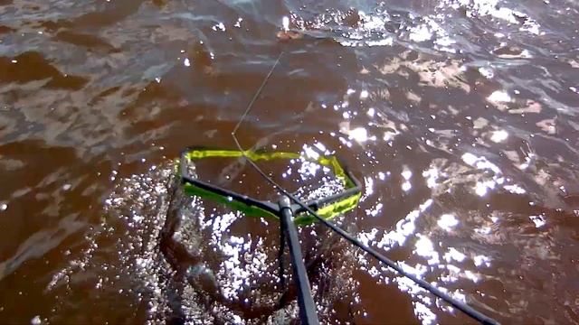 ЧТО ПРОИЗОШЛО С ЭКИПАЖЕМ КАЛИНИН - МИШИН? PAL OPEN 2022 смотреть онлайн