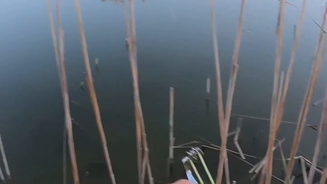 Рогатка для рыбалки смотреть онлайн