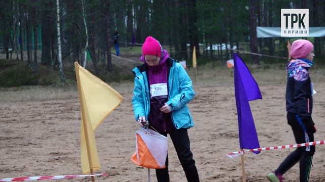 Соревнования по спортивному ориентированию в Будогощи смотреть онлайн