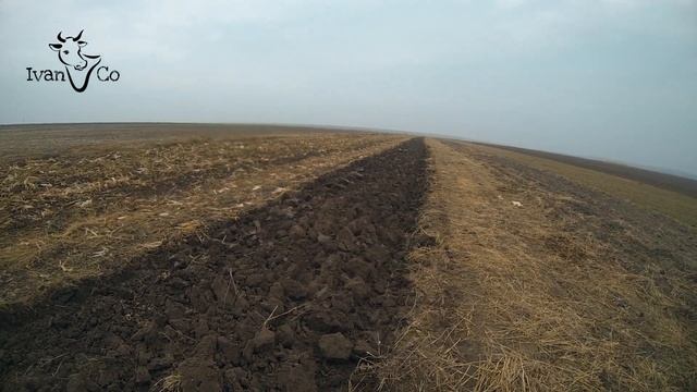 Пахота в поле по кукурузе. Справится ли мой трактор и плуг? смотреть онлайн
