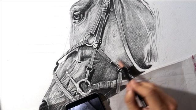 Drawing Horse ? with Pencils | Timelapse смотреть онлайн