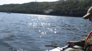 Ловля чехони с лодки.Чехонь на фидер.