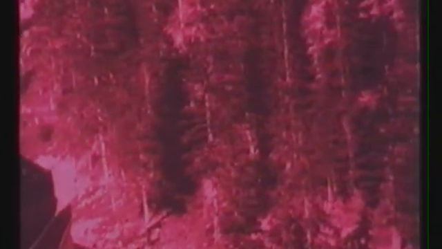 Gloria Coates: Fragment from Leonardo's Notebooks "Anima della Terra" (1972/1976) смотреть онлайн