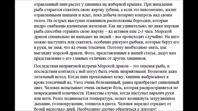 рыба дракон смотреть онлайн