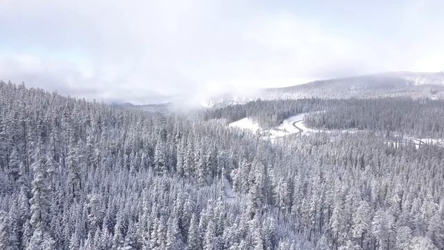 Видео для души:Насладитесь сказочным зимним миром под красивую музыку. #зима #жизнь #природа #релак смотреть онлайн
