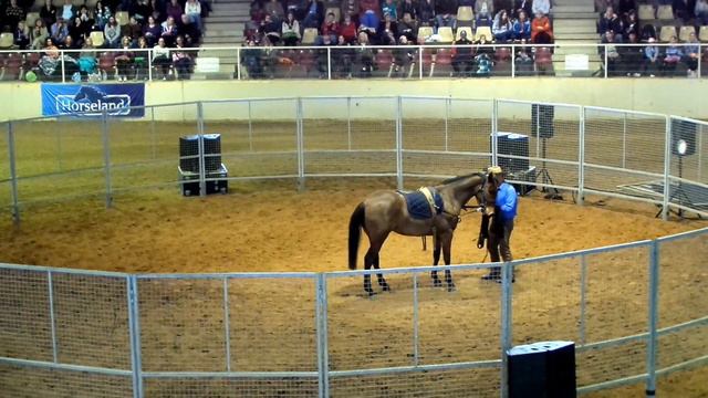 Monty Roberts - "Baby" - Single Line Lungeing - Horseworld, Sydney смотреть онлайн