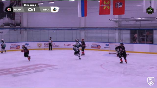 Форсаж vs Sharks смотреть онлайн