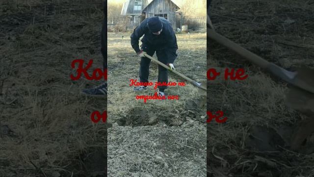 Как быстро вскопать участок. Копаю вокруг себя не отрывая ног смотреть онлайн