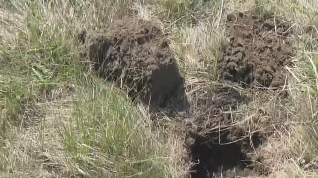 Старое Урочище Выпуск 5 смотреть онлайн