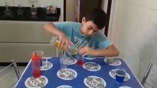 Experiência De Ciências Professora Roberta Lopes Luis Gustavo Dos Santos Ribeiro