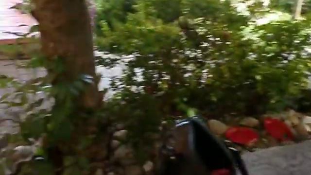 В гостях у Нади ,для ее брата Романа. смотреть онлайн