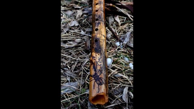Native American style flute in F смотреть онлайн