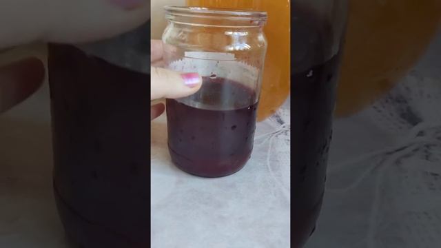 Комбуча . Как приготовить ягодный напиток из чайного гриба и ягод . смотреть онлайн