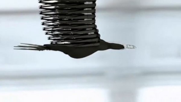 Креативная реклама - AUTODOC.RU