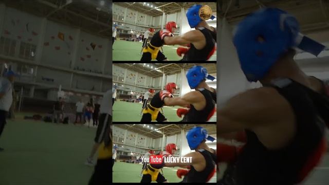 Анонс: Андижан - город бокса | Спарринг с олимпийским чемпионом смотреть онлайн