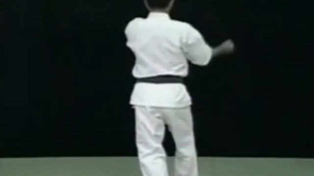 Ryukyu Shorin Ryu Karate Do _ Kata