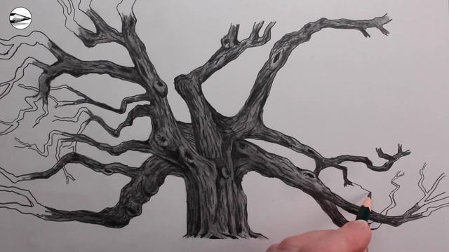 How to Draw an Oak Tree: Pencil Drawing Fast Version смотреть онлайн