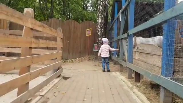 Марьюшка в контактном зоопарке смотреть онлайн