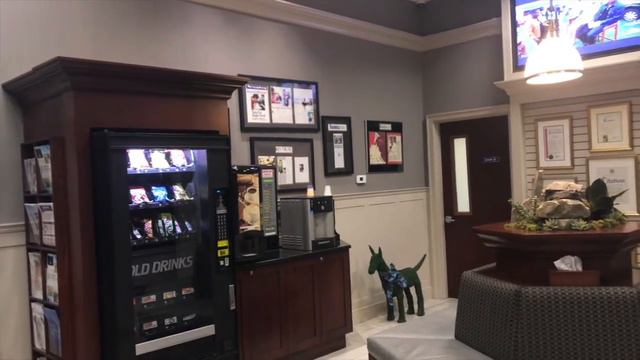 Нью-Йоркские Записки: Записка Вторая - Домашние Животные смотреть онлайн