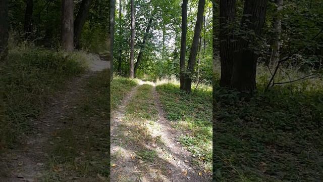 Медитация, завершающий, 6 этап и начало настоящей практики... смотреть онлайн