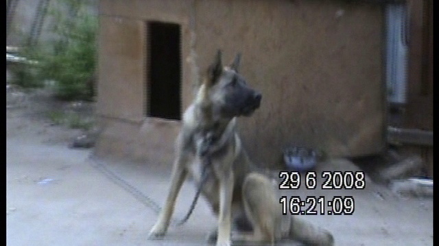 Собака бывает кусачей смотреть онлайн