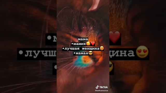 Как записать контакты?✌/2часть смотреть онлайн