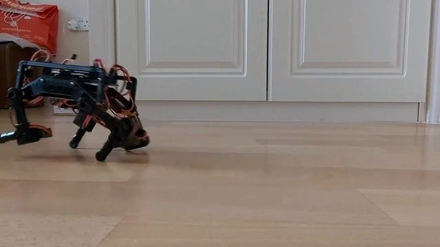 MUAMP PICO Python dog robot смотреть онлайн
