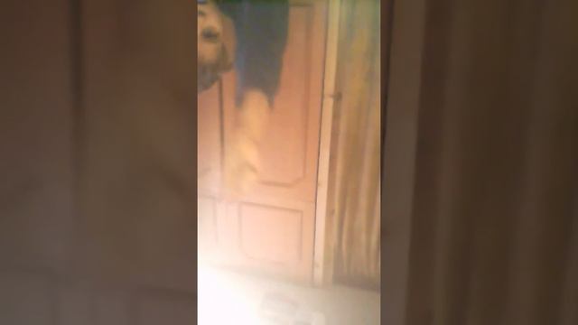Топ 4 действия которые невозможно выполнить. смотреть онлайн