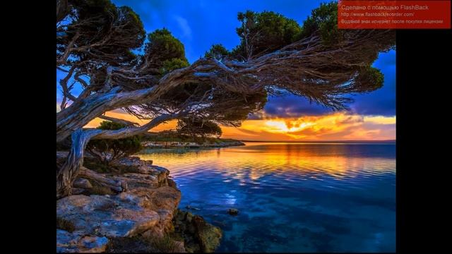 Волшебное колечко. смотреть онлайн