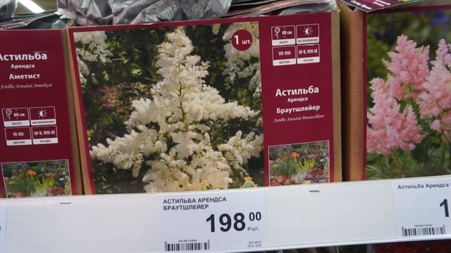 Саженцы и луковицы уже в Леруа Мерлен смотреть онлайн