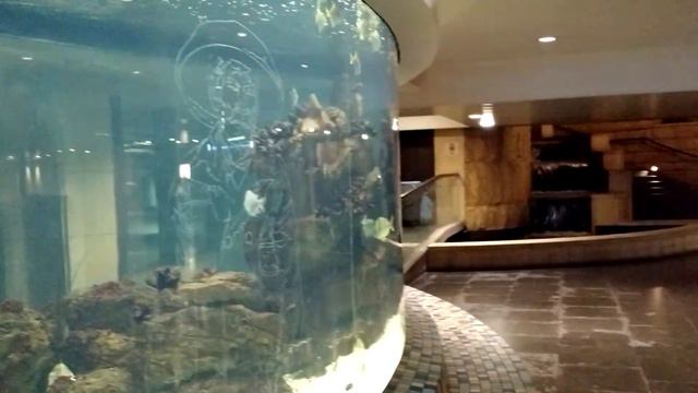 Аквариум в метро Лос-Анджелеса смотреть онлайн