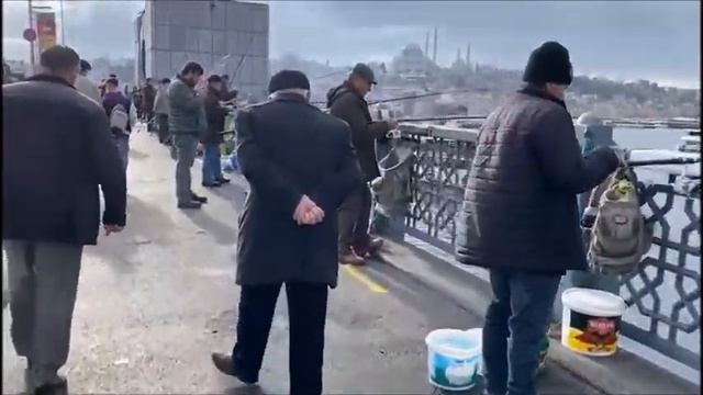 Турецкие рыбаки продают свежую рыбу прямо на Галатском мосту смотреть онлайн