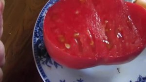 Томат Фатима!