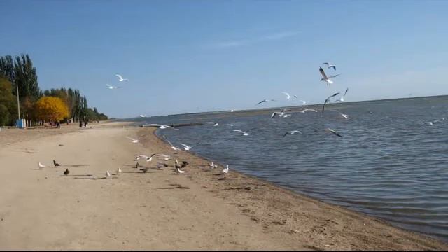 7 октября прогулка вдоль моря смотреть онлайн