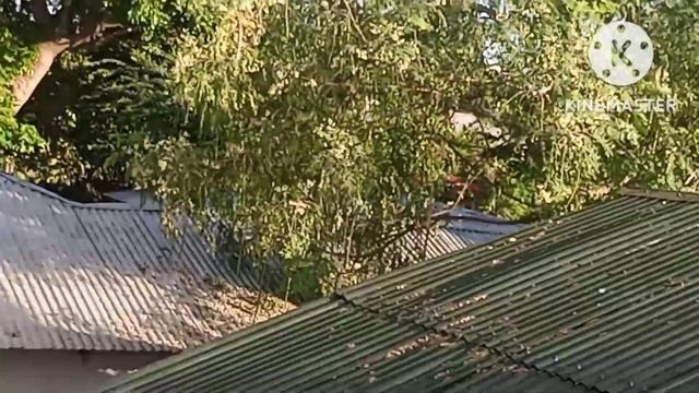 Настроение дня рождения смотреть онлайн
