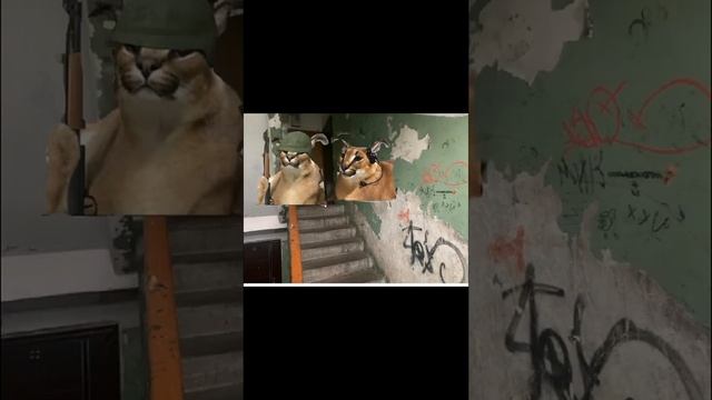 шлёпландия шлёпы против капибар смотреть онлайн